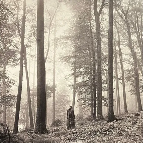 Taylor Swift - Folklore (coloured) (0602435034881) виниловая пла...