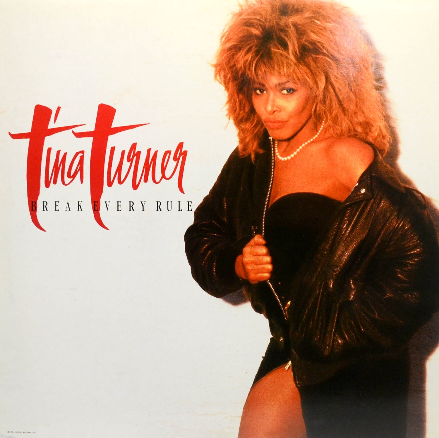 Виниловая Пластинка Turner, Tina Break Every Rule (0190296234378) виниловая пластинка tina turner private dancer lp