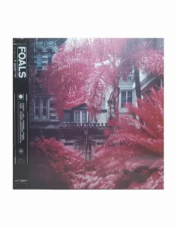 Foals - Everything Not Saved Will Be Lost Part 1 (0190295500924)...