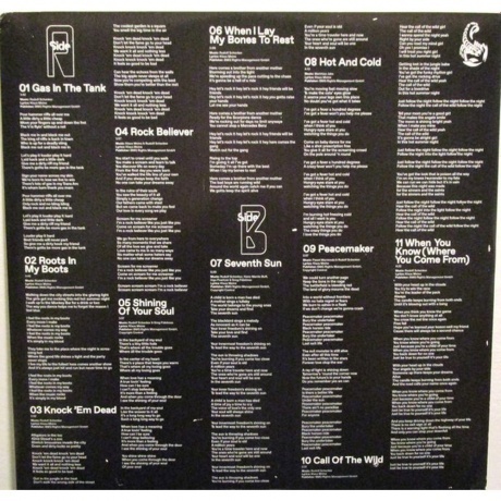 Scorpions - Rock Believer (0602438813780) виниловая пластинка - фото 5