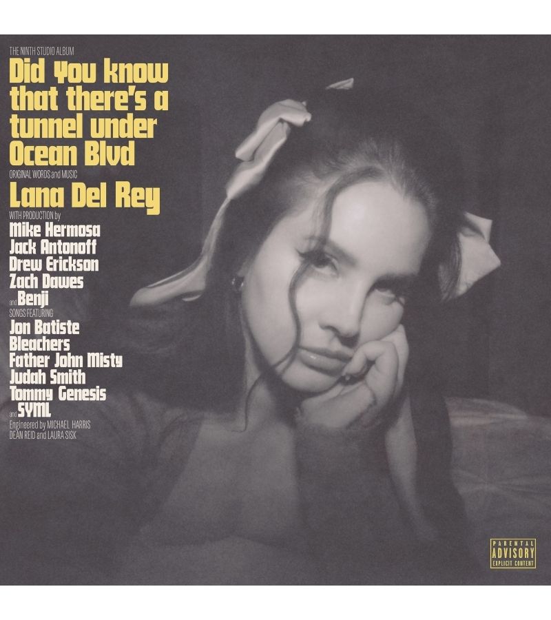 Виниловая пластинка Del Rey, Lana, Did You Know That There'S A Tunnel Under Ocean Blvd (0602448591913) lana del rey – did you know that there s a tunnel under ocean blvd alternative cover green vinyl