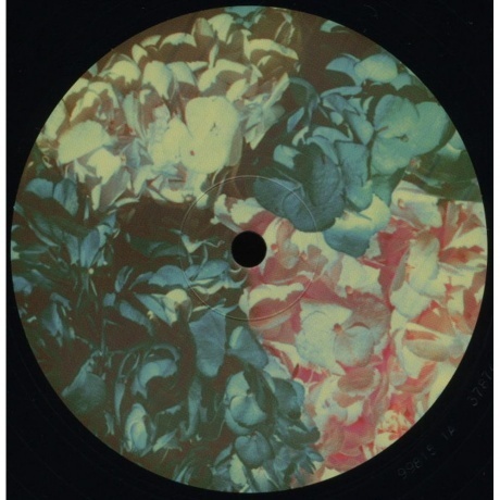 Lana Del Rey - Ultraviolence (0602537874484) виниловая пластинка - фото 11