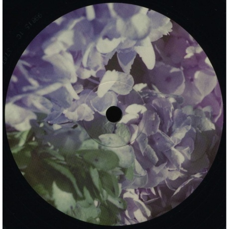 Lana Del Rey - Ultraviolence (0602537874484) виниловая пластинка - фото 13