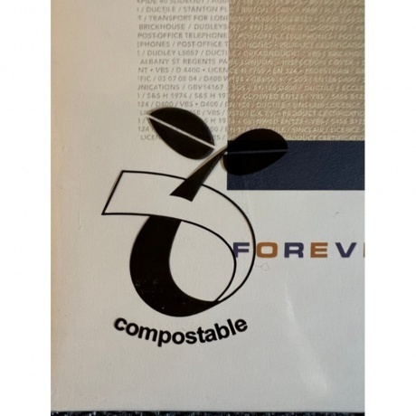 Brian Eno - Foreverandevernomore (0602448013569) виниловая пластинка - фото 10