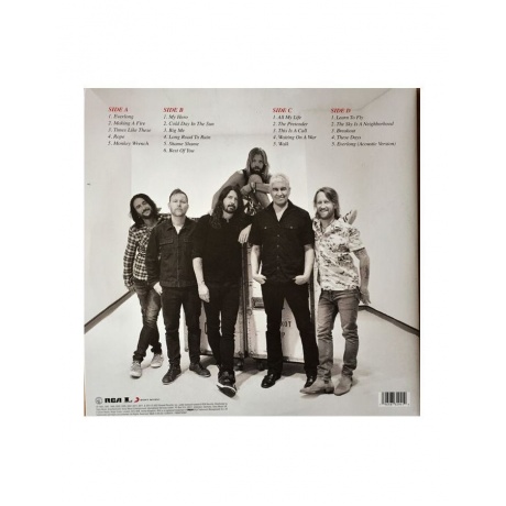 Виниловая пластинка Foo Fighters, The Essential (0196587329419) - фото 2