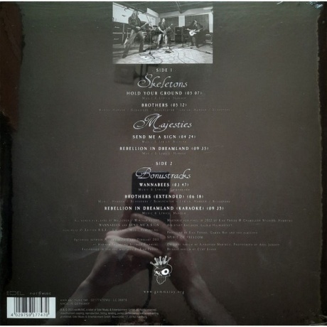 Gamma Ray - Skeletons &amp; Majesties (coloured) (4029759177470) виниловая пластинка - фото 2