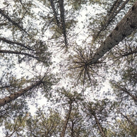 Katie Melua - Love &amp; Money (4050538863215) виниловая пластинка - фото 11