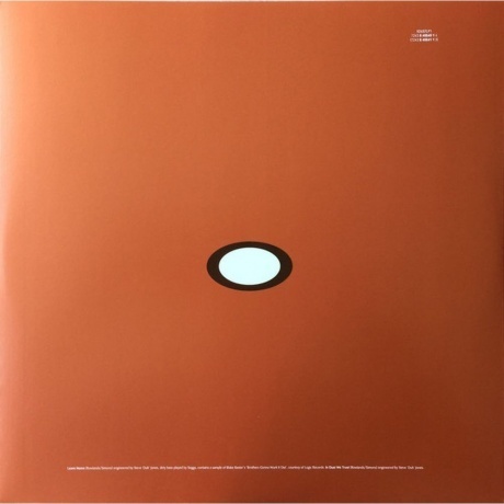 The Chemical Brothers - Exit Planet Dust (0724384054014) виниловая пластинка - фото 7