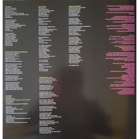 Eels - Extreme Witchcraft (5400863063221) виниловая пластинка - фото 4