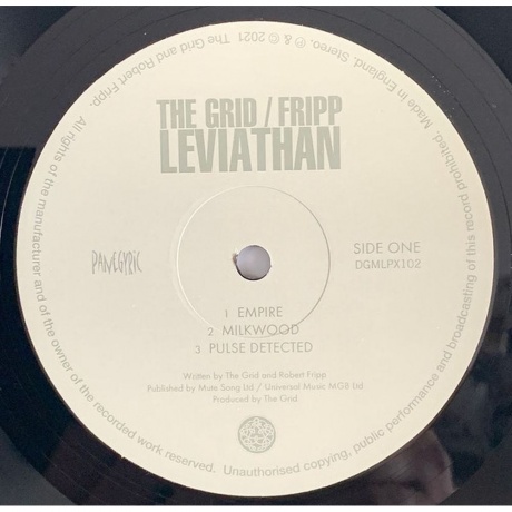 Robert Fripp &amp; The Grid - Leviathan (0633367793317) виниловая пластинка - фото 2