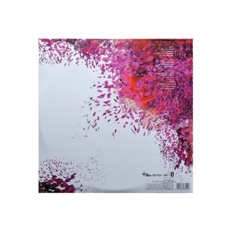 4050538689426, Виниловая пластинка Garbage, Beautiful Garbage - фото 2