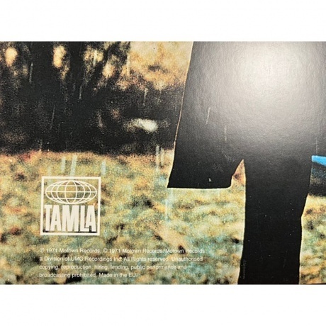 Marvin Gaye - What's Going On (0600753534236) виниловая пластинка - фото 8