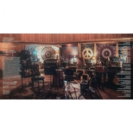 Gov't Mule - Heavy Load Blues (0888072287143) виниловая пластинка - фото 2