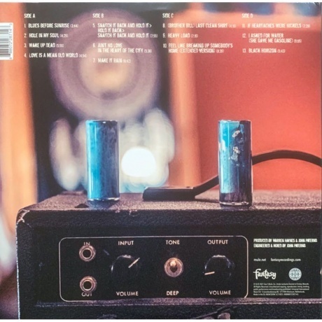 Gov't Mule - Heavy Load Blues (0888072287143) виниловая пластинка - фото 3