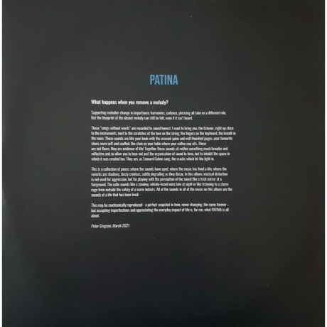 Peter Gregson - Patina (0028948605682) виниловая пластинка - фото 6