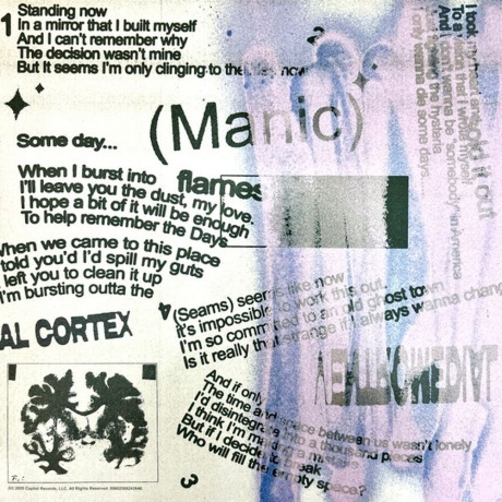 Halsey - Manic (coloured) (0602508243646) виниловая пластинка - фото 7