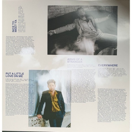 Niall Horan - Heartbreak Weather (0602508633867) виниловая пластинка - фото 6