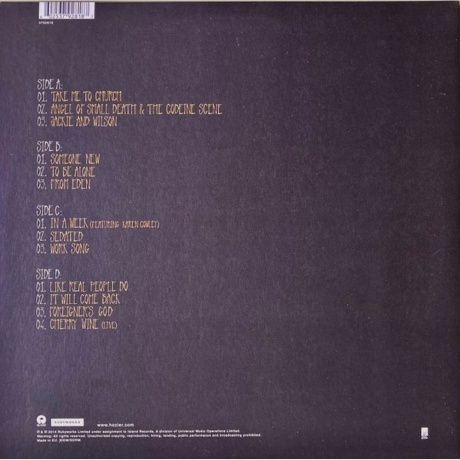 Hozier - Hozier (0602537928187) виниловая пластинка - фото 4