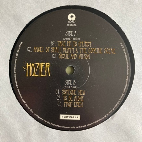 Hozier - Hozier (0602537928187) виниловая пластинка - фото 9