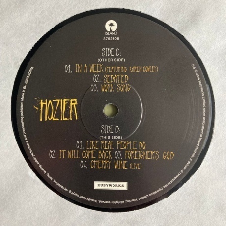 Hozier - Hozier (0602537928187) виниловая пластинка - фото 10