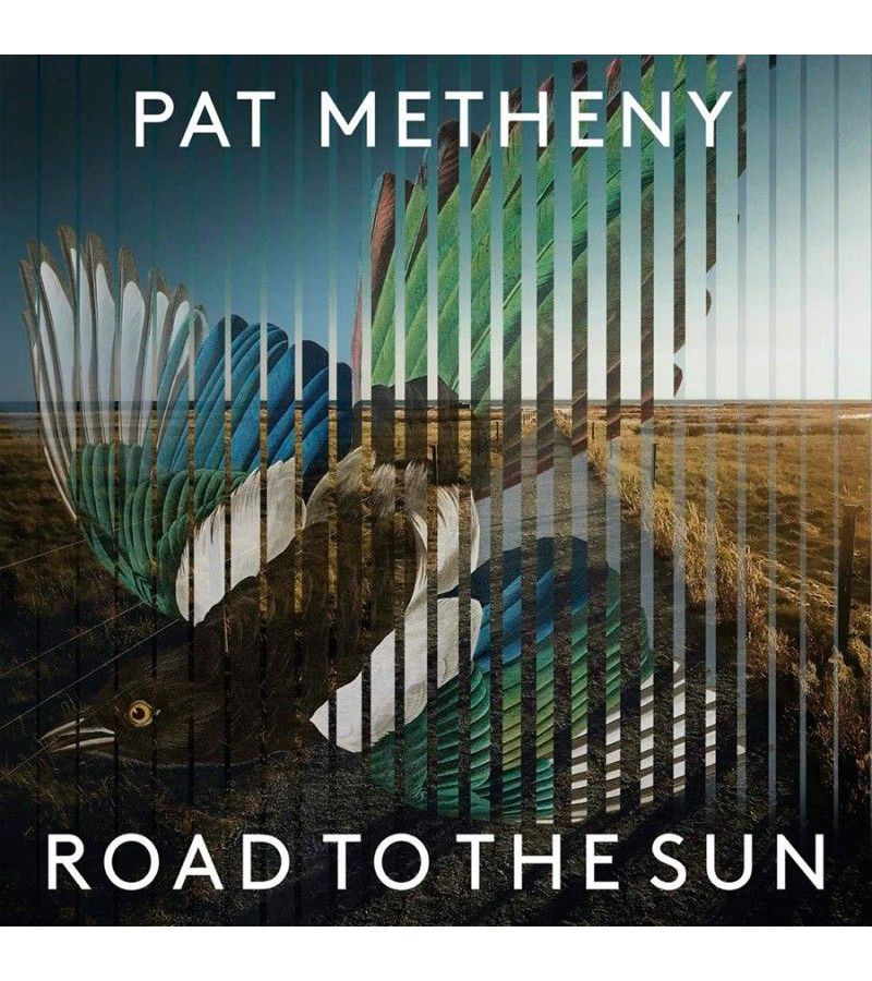4050538639377, Виниловая пластинка Metheny, Pat, Road To The Sun pat metheny road to the sun 2lp 2021 black 180 gram виниловая пластинка