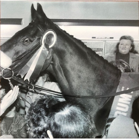 Metronomy - Small World (5060899077144) виниловая пластинка - фото 6