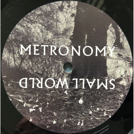 Metronomy - Small World (5060899077144) виниловая пластинка - фото 7