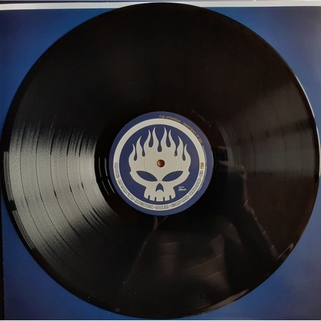 The Offspring - Conspiracy Of One (0602507484088) виниловая пластинка - фото 5