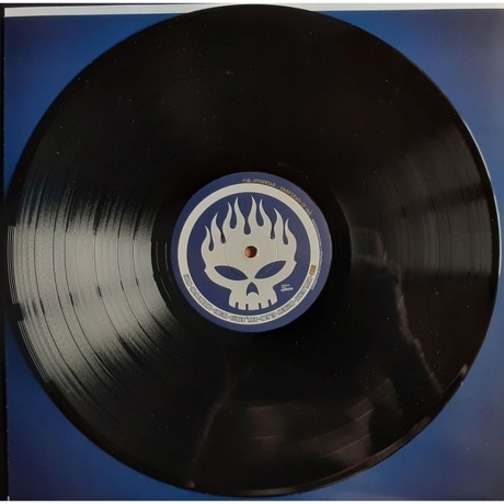 The Offspring - Conspiracy Of One (0602507484088) виниловая пластинка - фото 7