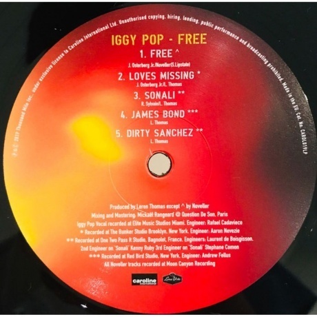 Iggy Pop - Free (0602577943539) виниловая пластинка - фото 5