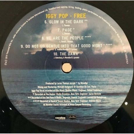 Iggy Pop - Free (0602577943539) виниловая пластинка - фото 6