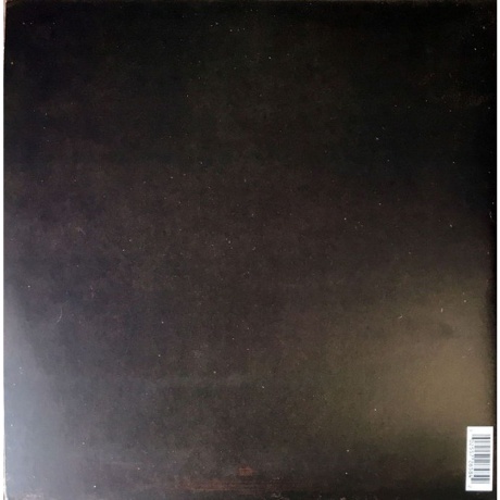 Post Malone - Stoney (coloured) (0602557265842) виниловая пластинка - фото 5