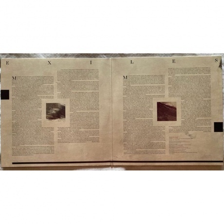 Max Richter - Exiles (0028948604463) виниловая пластинка - фото 2