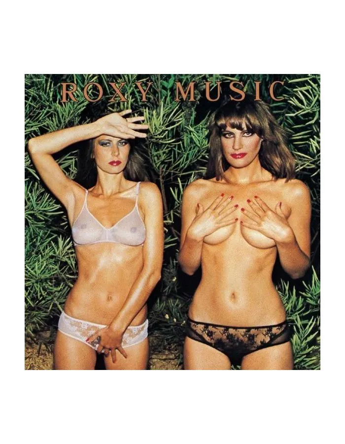0602507460242, Виниловая пластинка Roxy Music, Country Life (Half Speed) - фото 2