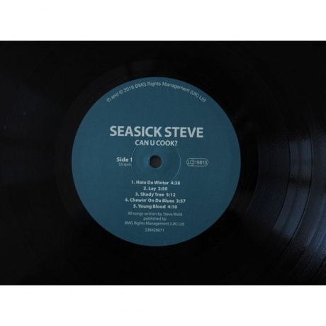 Seasick Steve - Can U Cook? (4050538426076) виниловая пластинка - фото 3