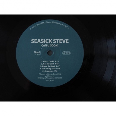 Seasick Steve - Can U Cook? (4050538426076) виниловая пластинка - фото 4