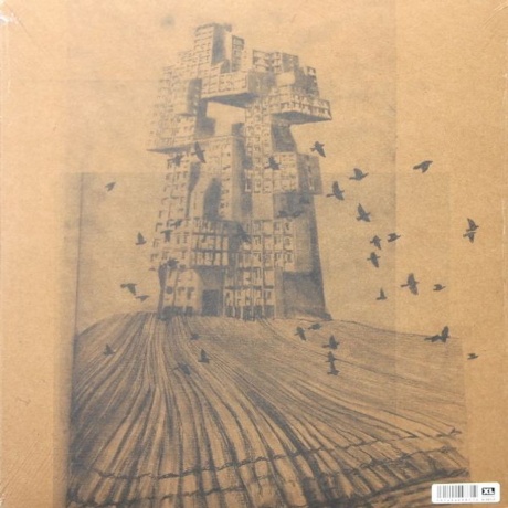 0191404098714, Виниловая пластинка Yorke, Thom, Anima - фото 2