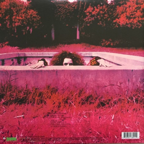 Frank Zappa - Hot Rats (0824302384114) виниловая пластинка - фото 3