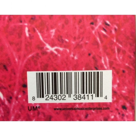 Frank Zappa - Hot Rats (0824302384114) виниловая пластинка - фото 4