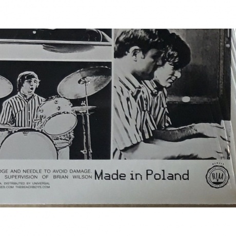 The Beach Boys - Pet Sounds (0602547822291) виниловая пластинка - фото 6