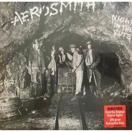 Aerosmith - Night In The Ruts (0602455248657) виниловая пластинка - фото 1