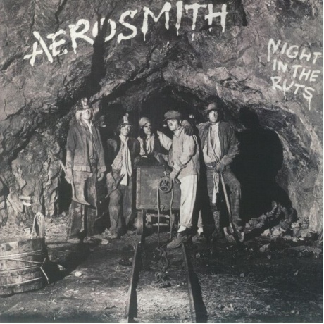 Виниловая пластинка Aerosmith, Night In The Ruts (0602455248657) - фото 1