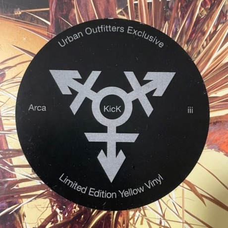 Arca - Kick III (0191404122211) виниловая пластинка - фото 6