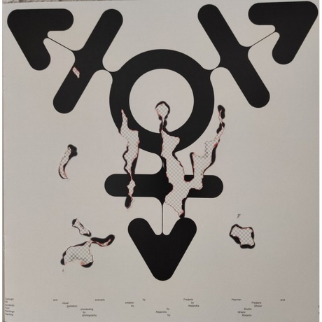 Arca - Kick IIII (0191404122310) виниловая пластинка - фото 3