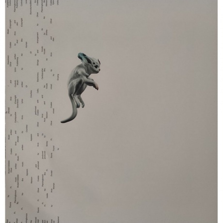 Arca - Kick IIII (0191404122310) виниловая пластинка - фото 9