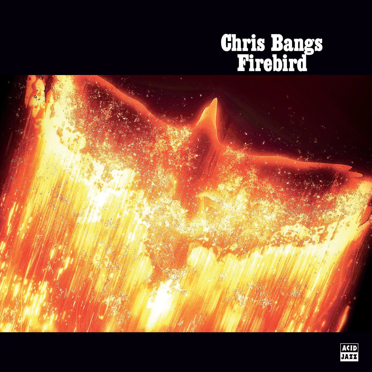Виниловая пластинка Bangs, Chris, Firebird (0676499066157)