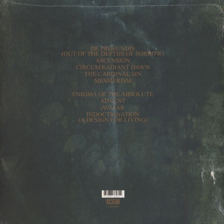 Dead Can Dance - Spleen &amp; Ideal (0652637362312) виниловая пластинка - фото 2