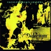 Виниловая пластинка Delerium, Faces, Forms And Illusions (colour...