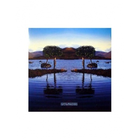 

Bruce Dickinson - Skunkworks (4050538288384) виниловая пластинка