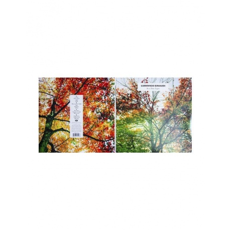 Виниловая пластинка Einaudi, Ludovico, In A Time Lapse (0602537352968) - фото 8